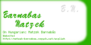 barnabas matzek business card
